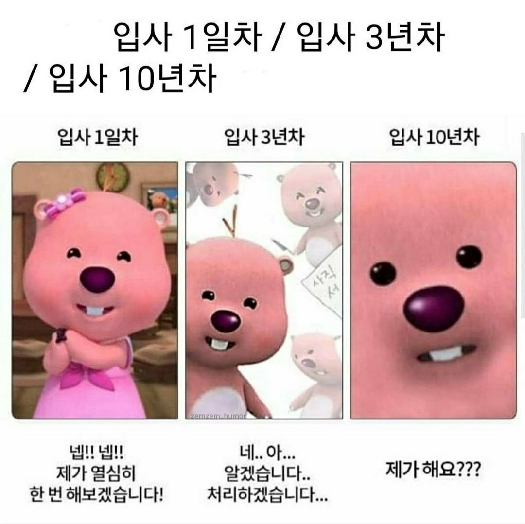 사회 초년생 출근 변화 과정 유머 게시판