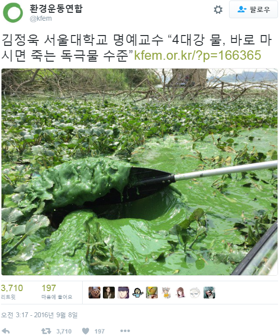 한명이 먹다 죽어도 모를 녹차라떼..png