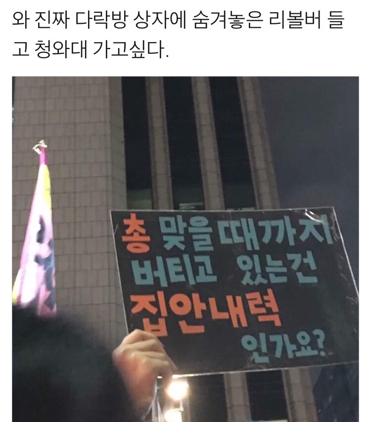 짹짹이 1.JPG