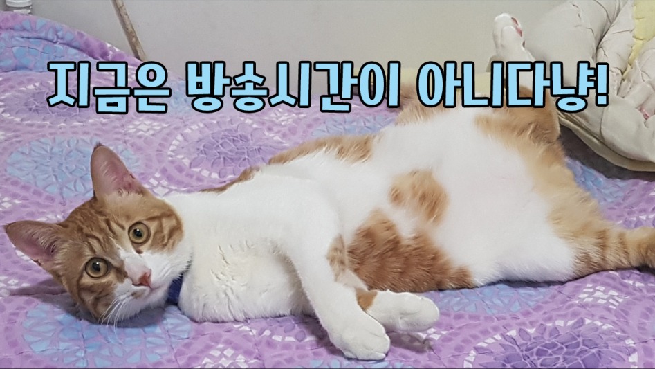 대기중.jpg