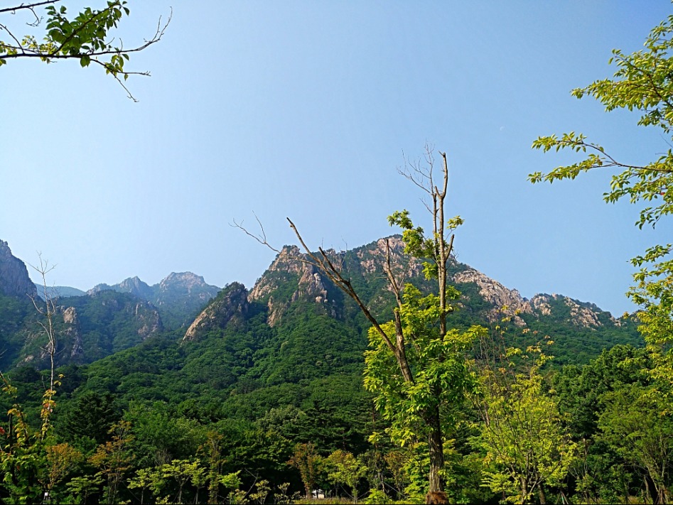 수정됨_IMG_20170618_001901.jpg