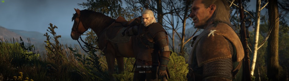 수정됨_The Witcher 3 2017-10-19 오후 1_20_56.png