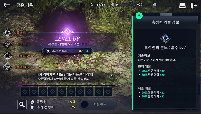 02_흑정령 기술.png