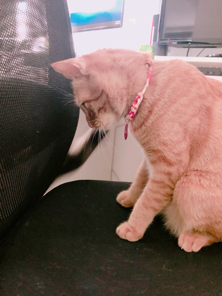 KakaoTalk_20180119_144514147.jpg