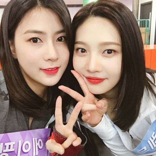 조이앨리스 이미지