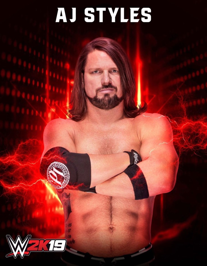 WWE2K19_ROSTER_AJ-STYLES_14x18_preview.jpeg.jpg