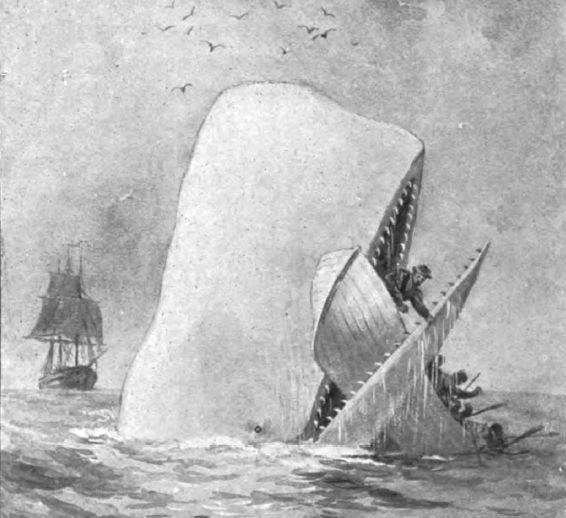 moby-dick.jpg.638x0_q80_crop-smart.jpg