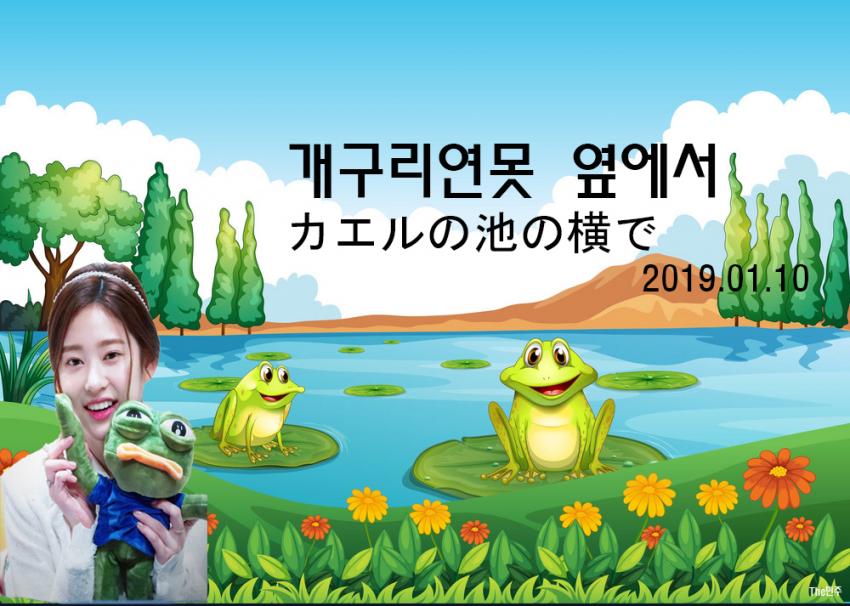 노키 이미지