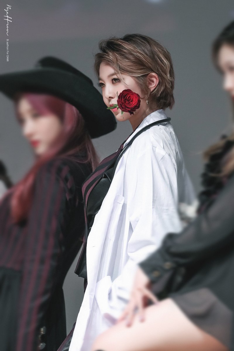 다미광고 이미지