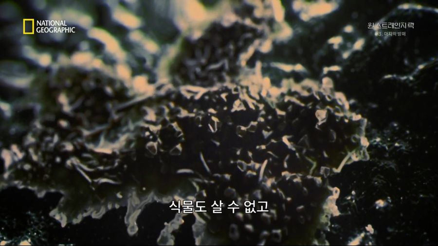 [NGC] 원 스트레인지 락.E03.마지막 방패.KORSUB.HDTV.x264.AAC.1080p-Once.mkv_20190523_225521.538.jpg