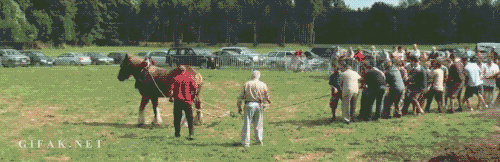 15b774744ec2fdfd0.gif