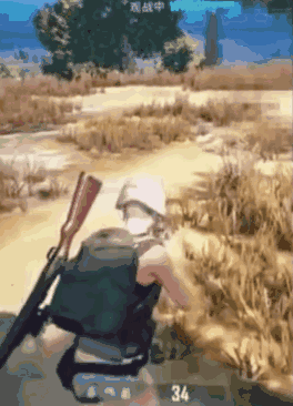 161554d8d893e85c8.gif