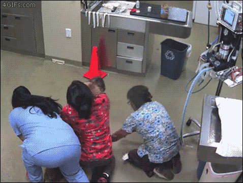 e30552b3a0b2371ce44c95ef61becbda_fVF8JOQWZTuOxA5Zg5rtzFbhGcZL.gif