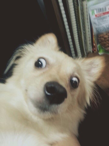 cmt/18/07/18/164ad00e23a35990.jpeg?used