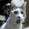 cmt/20/03/05/170aa1d61f64a75b4.gif?used