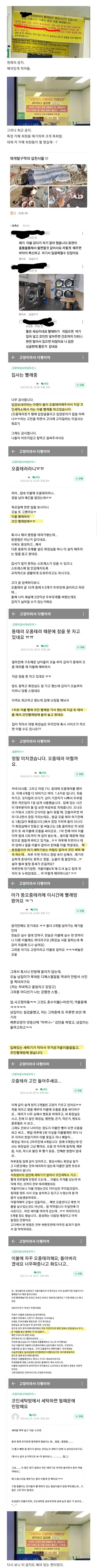 최근 이슈 되었던 코인빨래방 vs 캣맘 결과