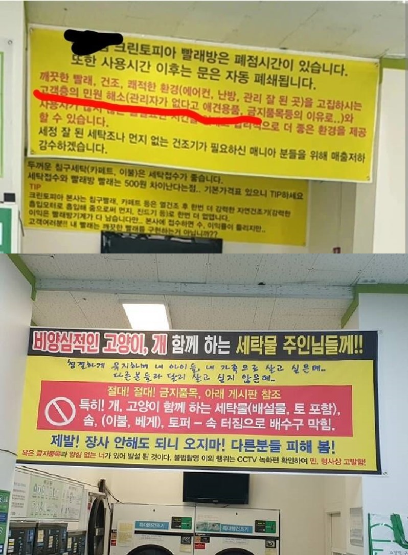 최근 이슈 되었던 코인빨래방 vs 캣맘 결과