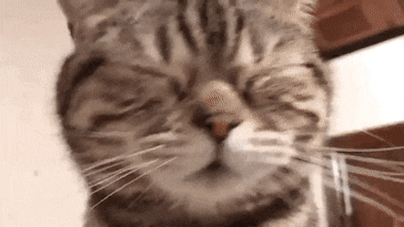 나는 이 이야기를 무척 좋아한다.manhwa_9.gif