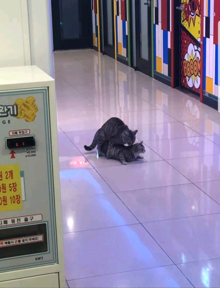 ㅇㅎ 의외로 노래방에서 하면 안되는 행동jpg