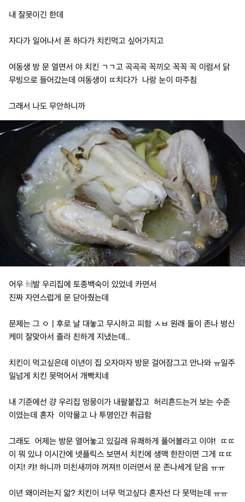 강아지 배변패드 여동생썰. | 유머 게시판