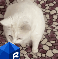 cmt/25/06/03/1973402d5fa3a338.gif