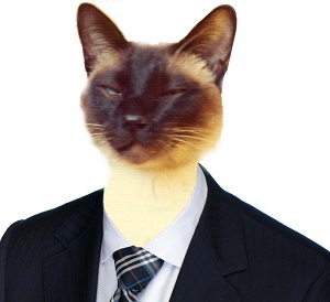 comment img
