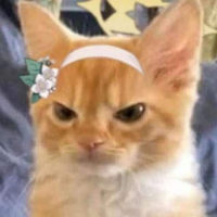 comment img