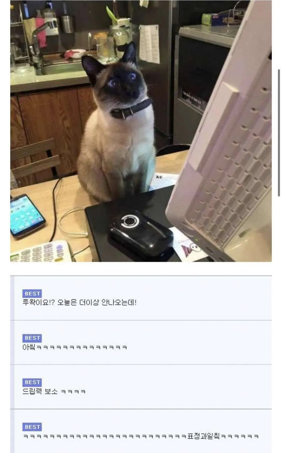 comment img