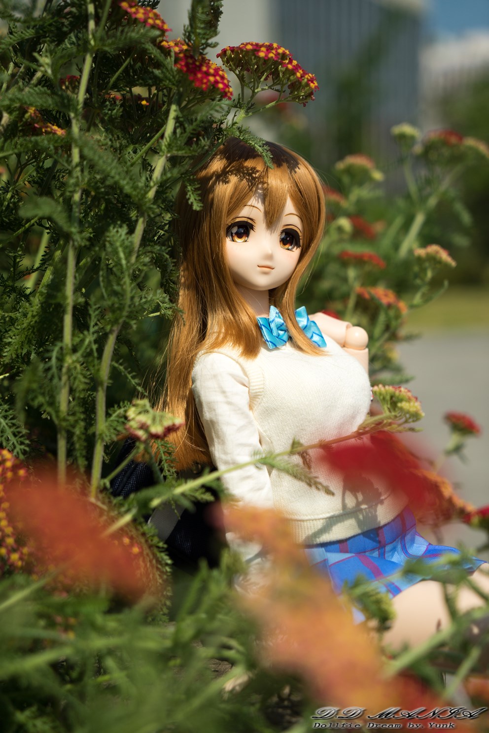 돌피드림 게시판이 생겼군요 !!_2.jpg