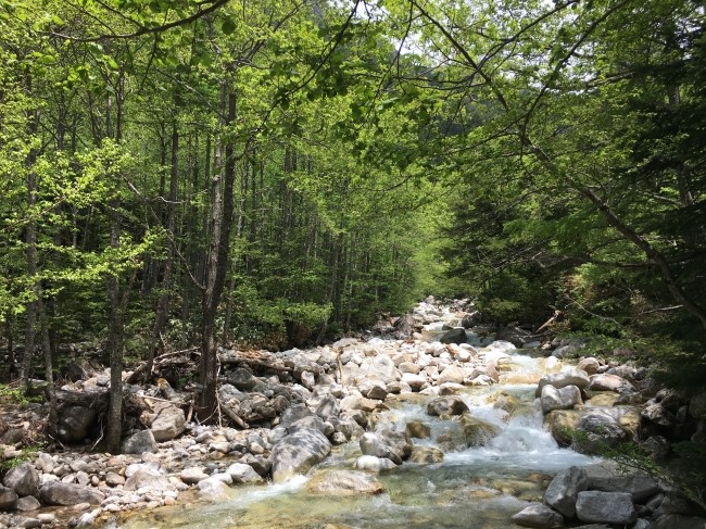 일본 북알프스 야리가다케(3180m) 백패킹을 가다_22.jpg