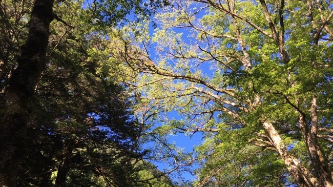 일본 북알프스 야리가다케(3180m) 백패킹을 가다_67.jpg