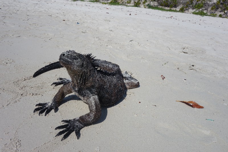 세계여행 다녀왔어요_7.jpg