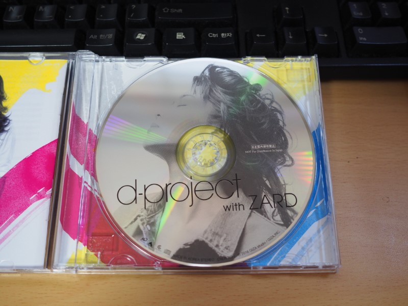 d-project with ZARD_4.jpg