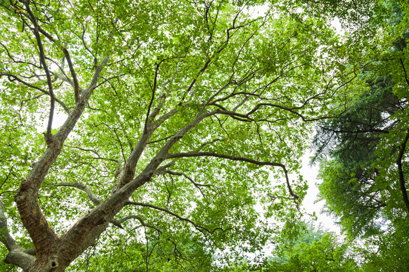 5박 6일 도쿄 여행사진 [스압주의]_146.jpg