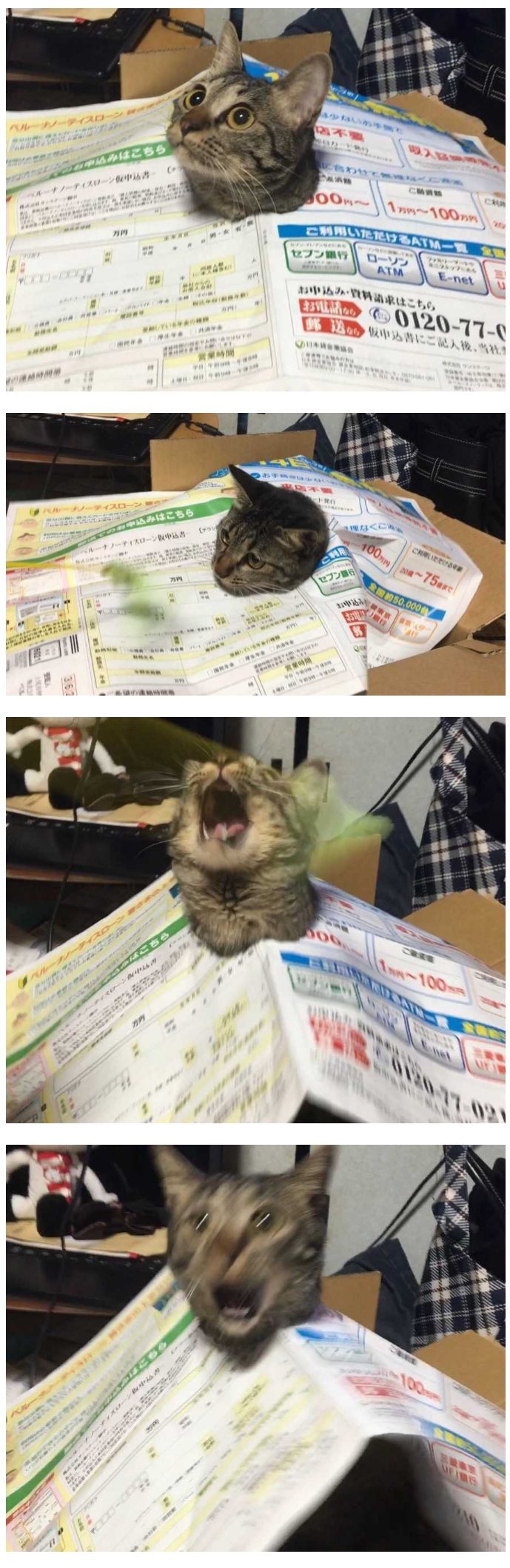 아주머니 투블럭이요! 귀두컷 말고! .jpg_1.jpg
