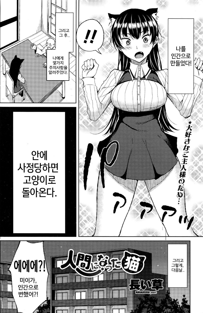 고양이가 은혜갚는 Manga 백업 유머 게시판 2015 2017