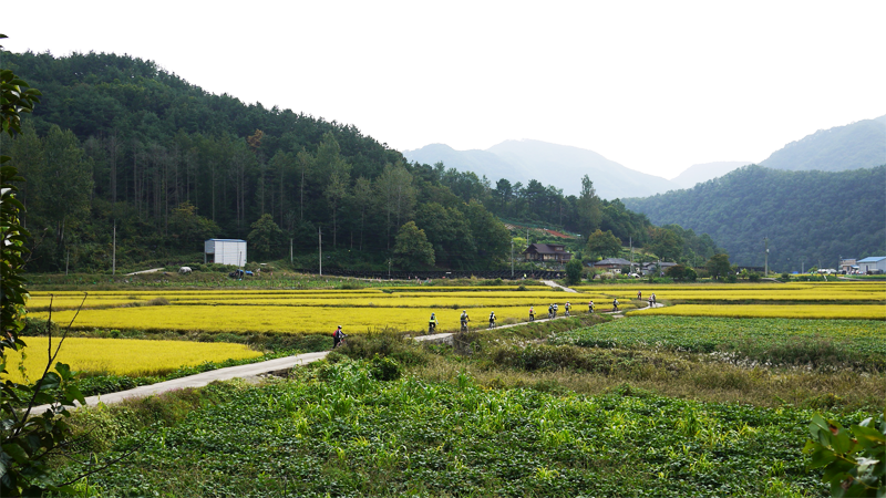 Tour de muckrathon (트루 드 먹라톤) 10주년 정리_166.png