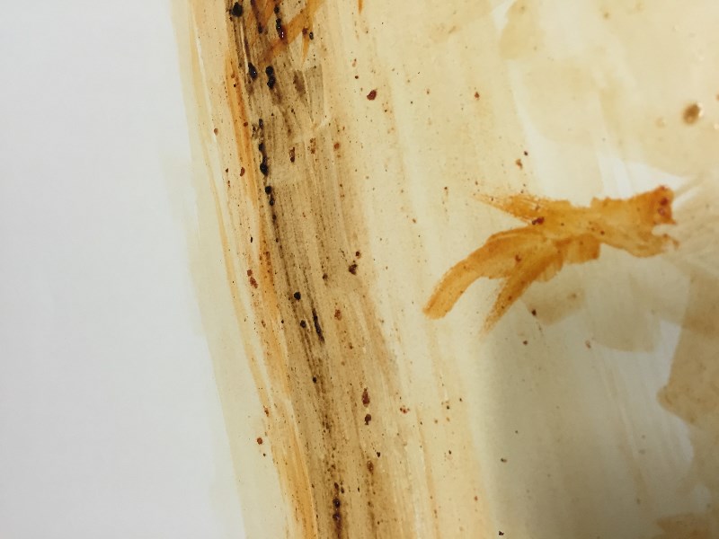 맛있는 수채화, 그리고 구타_7.jpg