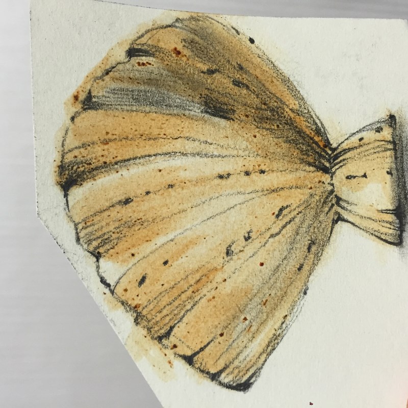 맛있는 수채화, 그리고 구타_11.jpg