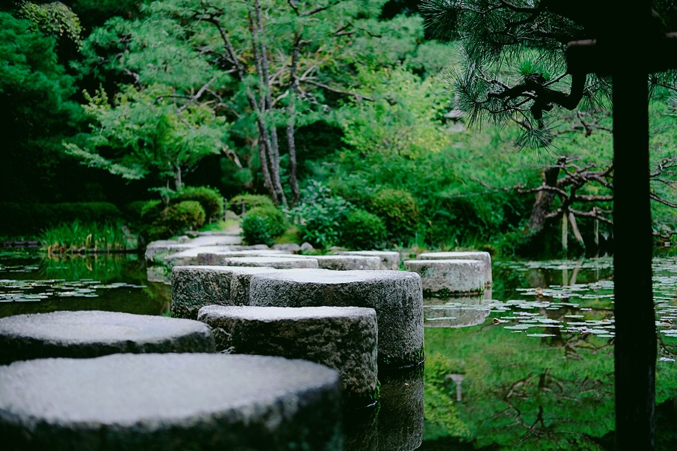홀로 2박3일 일본 교토 여행사진 72장 (스압주의)_8.jpg