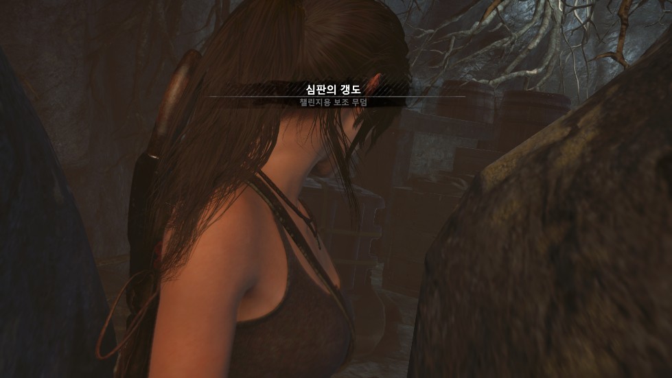 Rise of the Tomb Raider_61.png