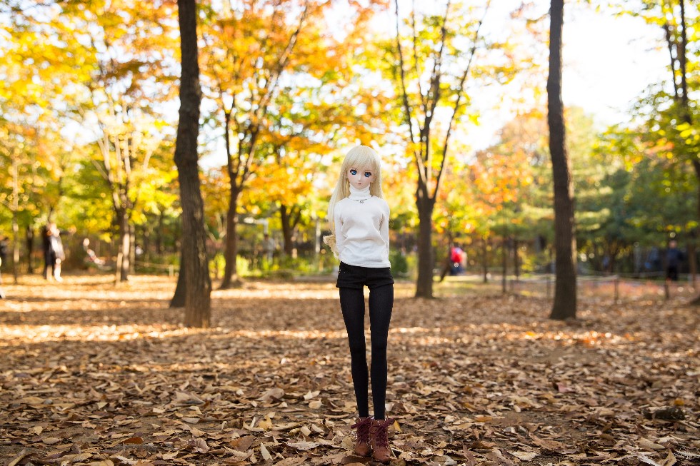 가을....서울 월드컵 공원에서...._5.jpg