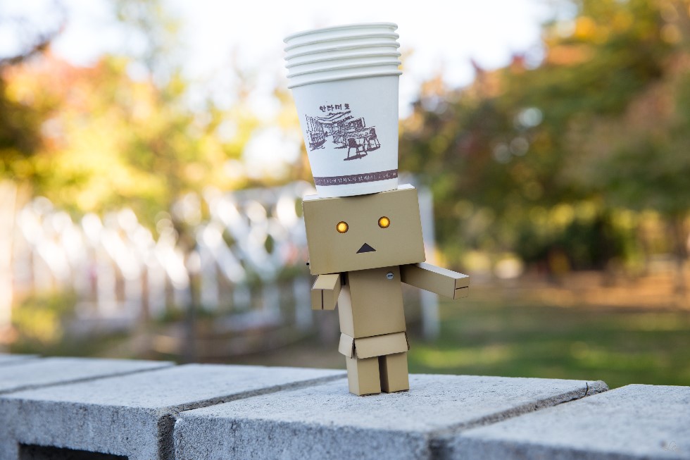 가을....서울 월드컵 공원에서...._10.jpg