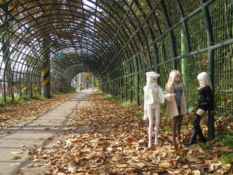 단체로 가을 분위기 잡고 찍어보았습니다._1.jpg