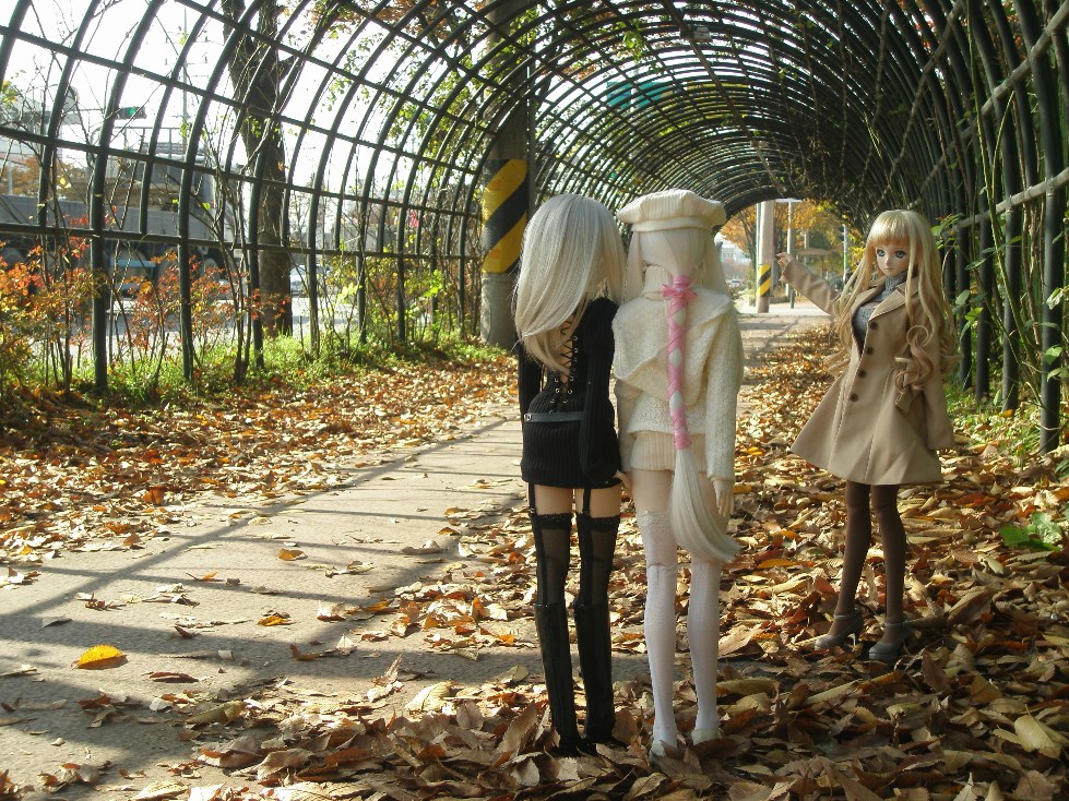 단체로 가을 분위기 잡고 찍어보았습니다._8.jpg