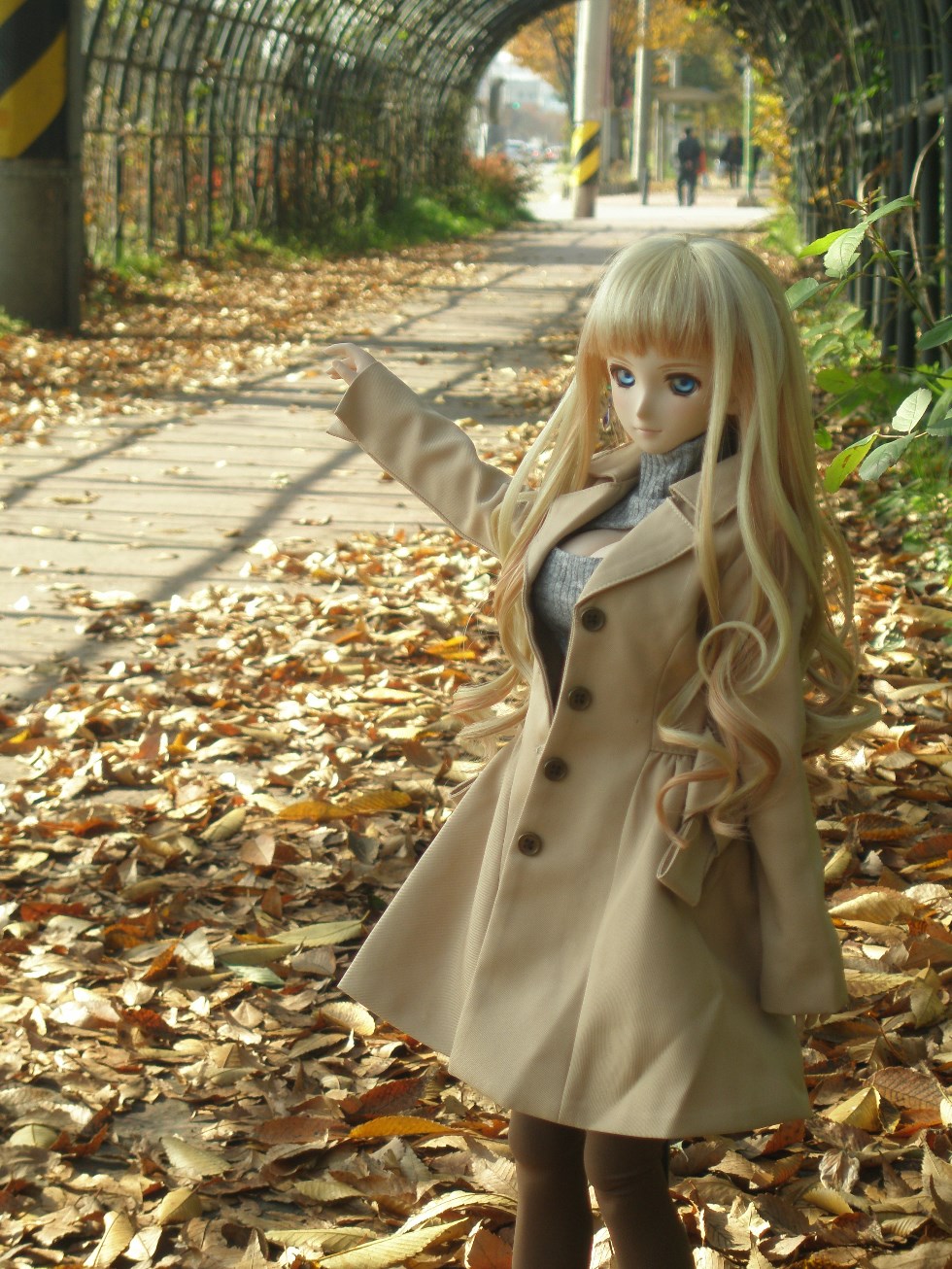 단체로 가을 분위기 잡고 찍어보았습니다._10.jpg