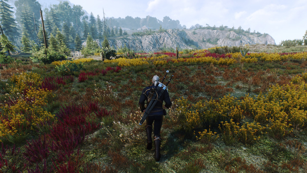 witcher3-2016-11-14-01-08-59-943.jpg