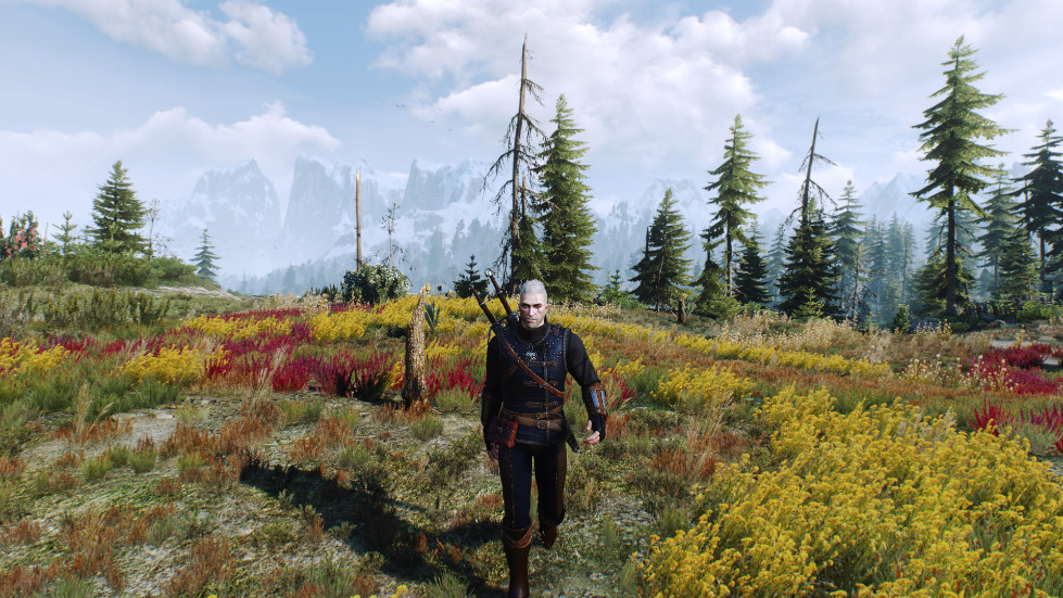 witcher3-2016-11-14-01-09-12-339.jpg