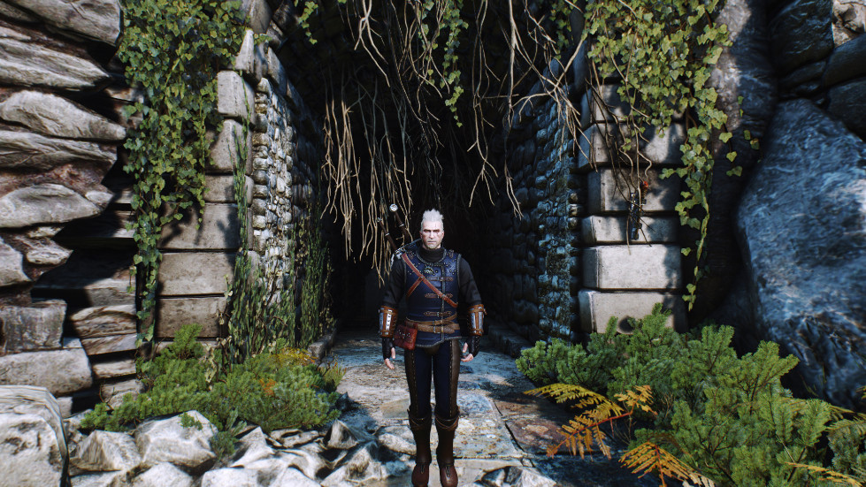 witcher3-2016-11-14-01-12-55-780.jpg