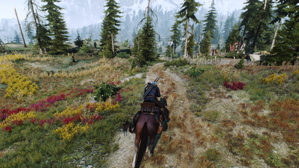 witcher3-2016-11-14-01-28-57-582.jpg